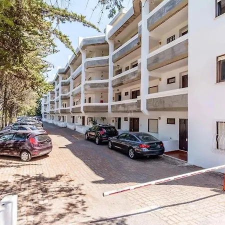 Laurus * Albufeira