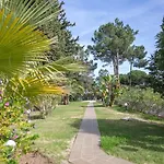Apartmán Laurus *